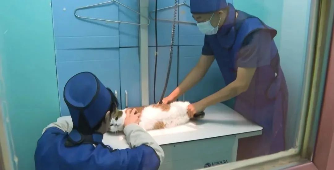 买不起房的北漂都去哪儿了,买不起房的北漂都去哪里了