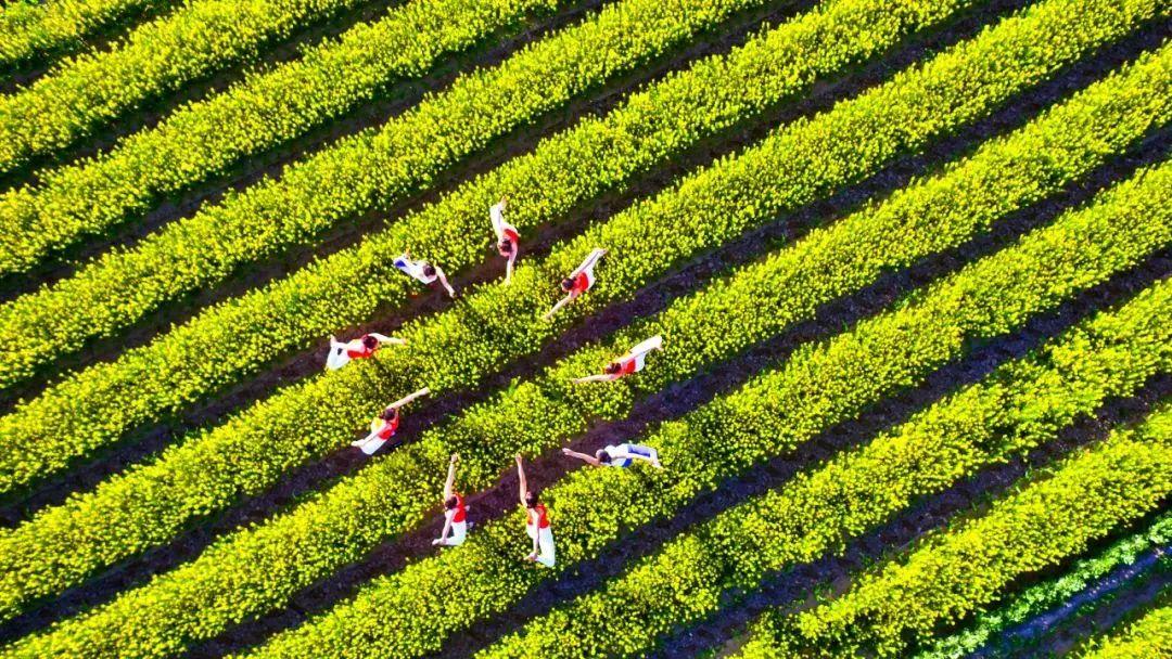 为什么张掖是玉米制种基地,张掖舰为什么用张掖命名