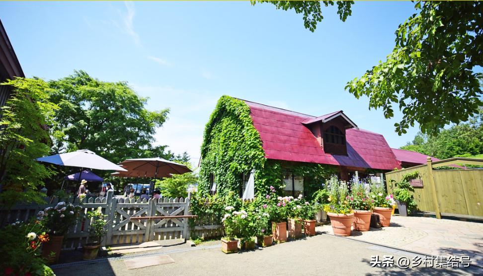 北海道上野农场,日本北海道上野农场