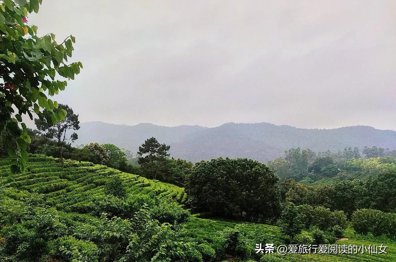 广东旅游攻略自由行十大景点,广东境内旅游景点自由行大全