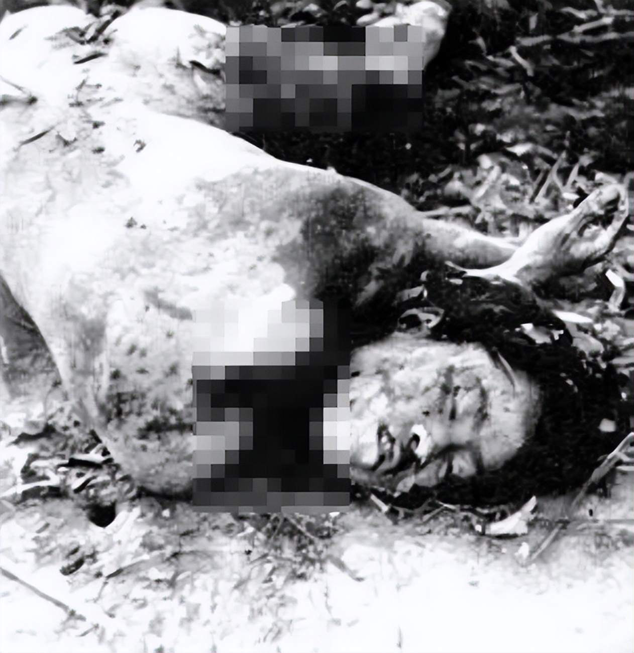 抗日女英雄刘耀敏被杀全部经过,抗日女英雄刘耀梅真人图片