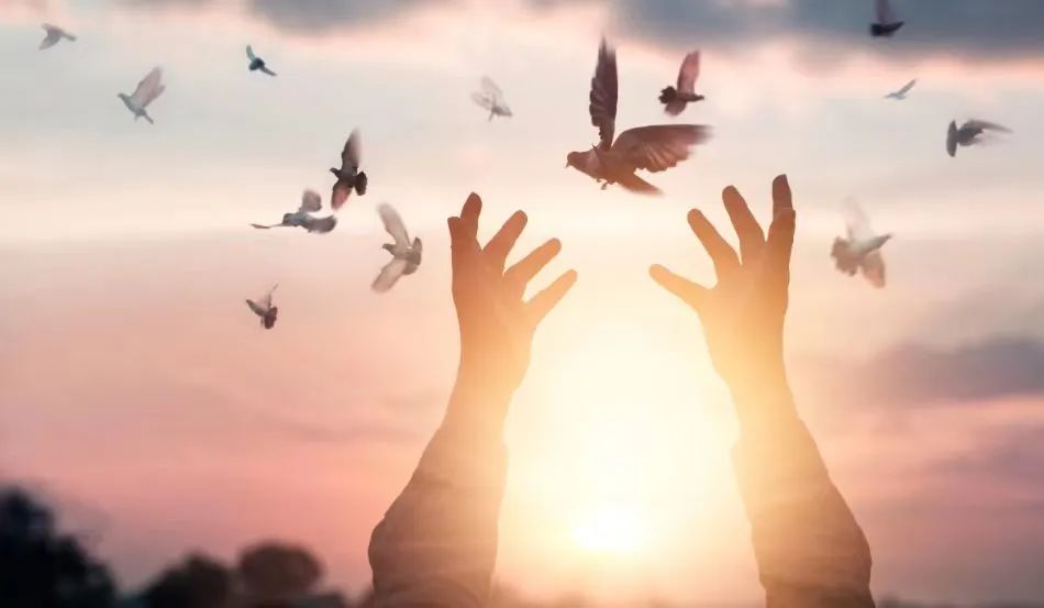 omg是什么原理,omg是什么奇迹