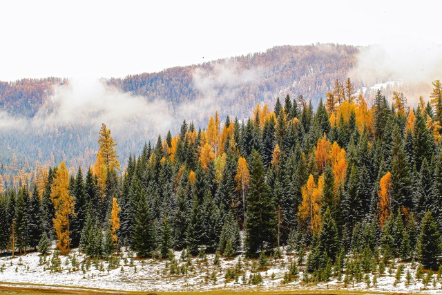 可可托海传奇疆菜,信马游疆可可托海