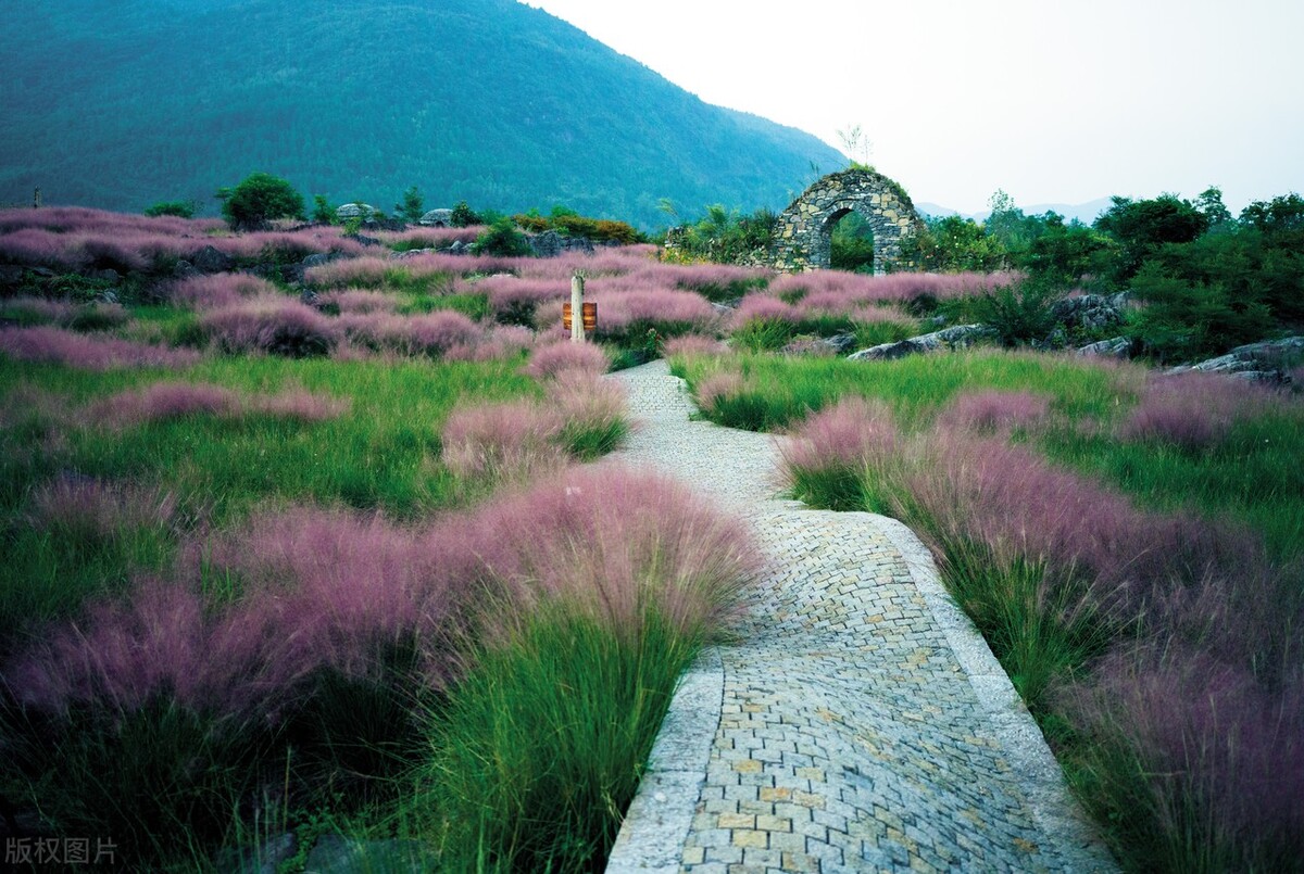 茶馆创业计划书,开一家茶馆的创业规划