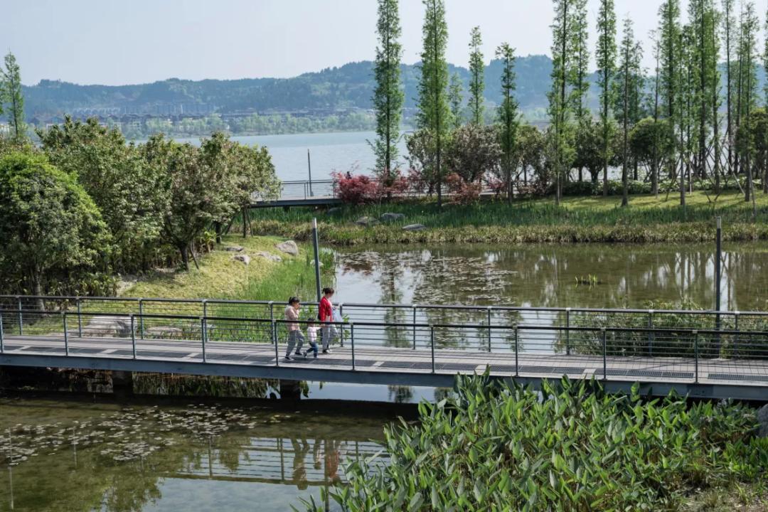 滨海景观设计干货,景观设计行业要看哪些网站