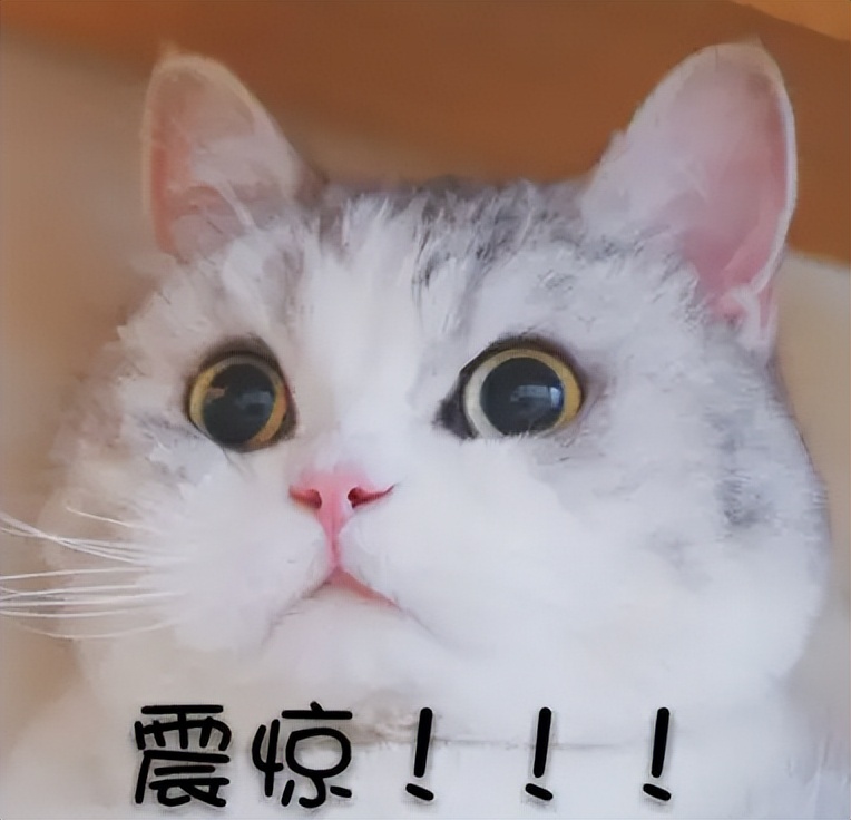 被骂上热搜的“卫生巾”，月经羞耻吗？怎么来个例假就羞耻了呢