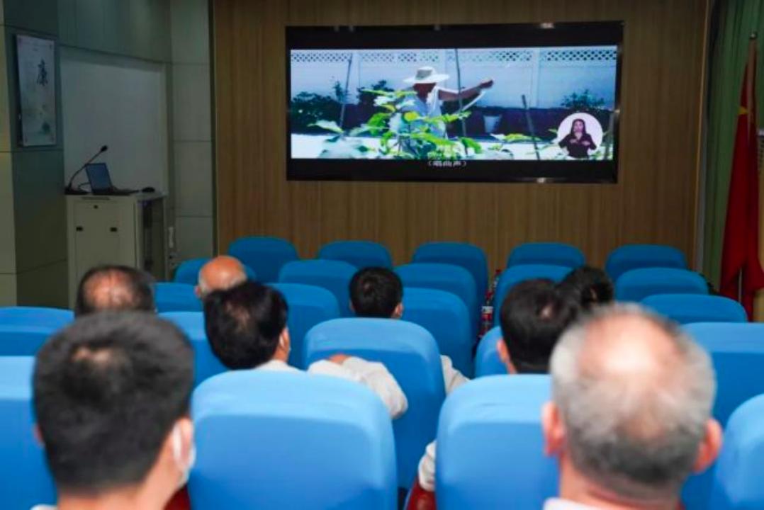 夫妻坚持创办盲人影院,夫妻办免费盲人影院17年