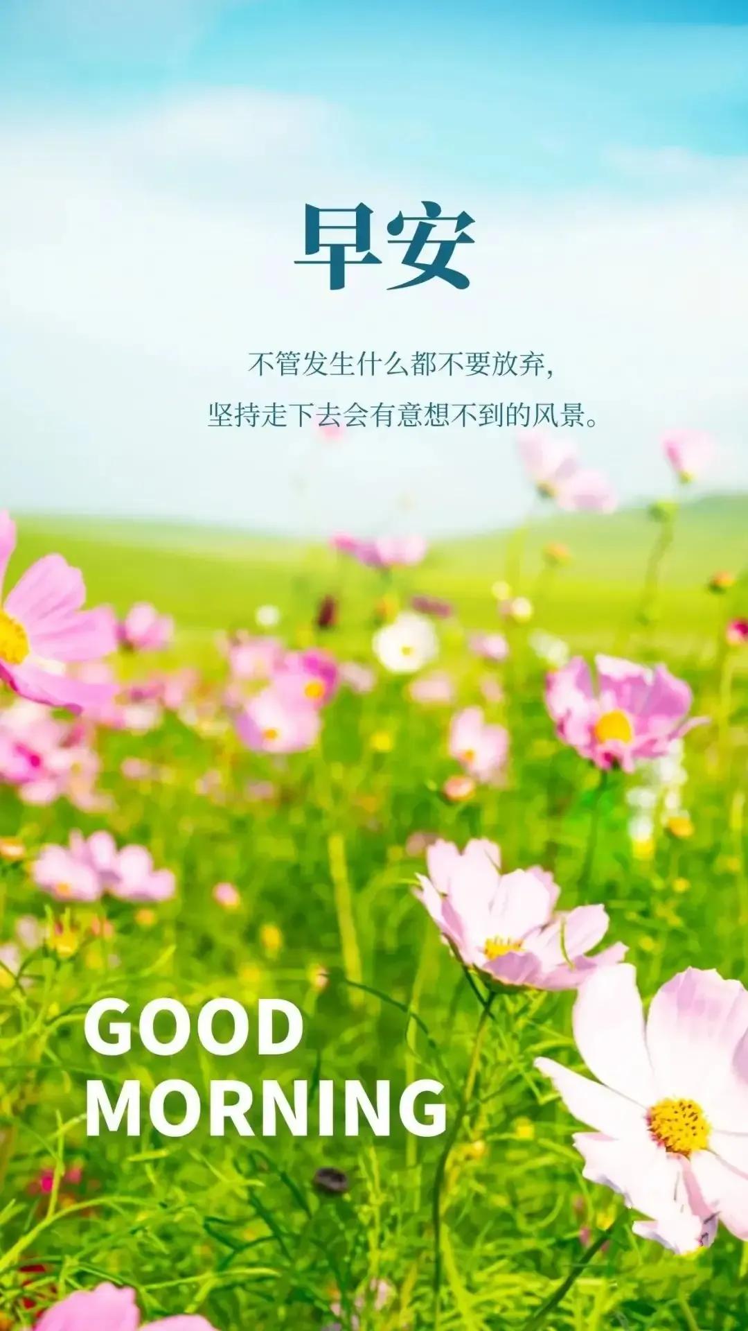 乙木命2023年癸卯年运势怎样,农历2023年癸卯年正月结婚吉日