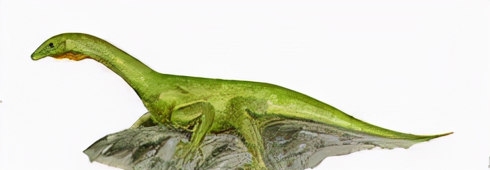 恐龙立体书科普恐龙,恐龙科普全集