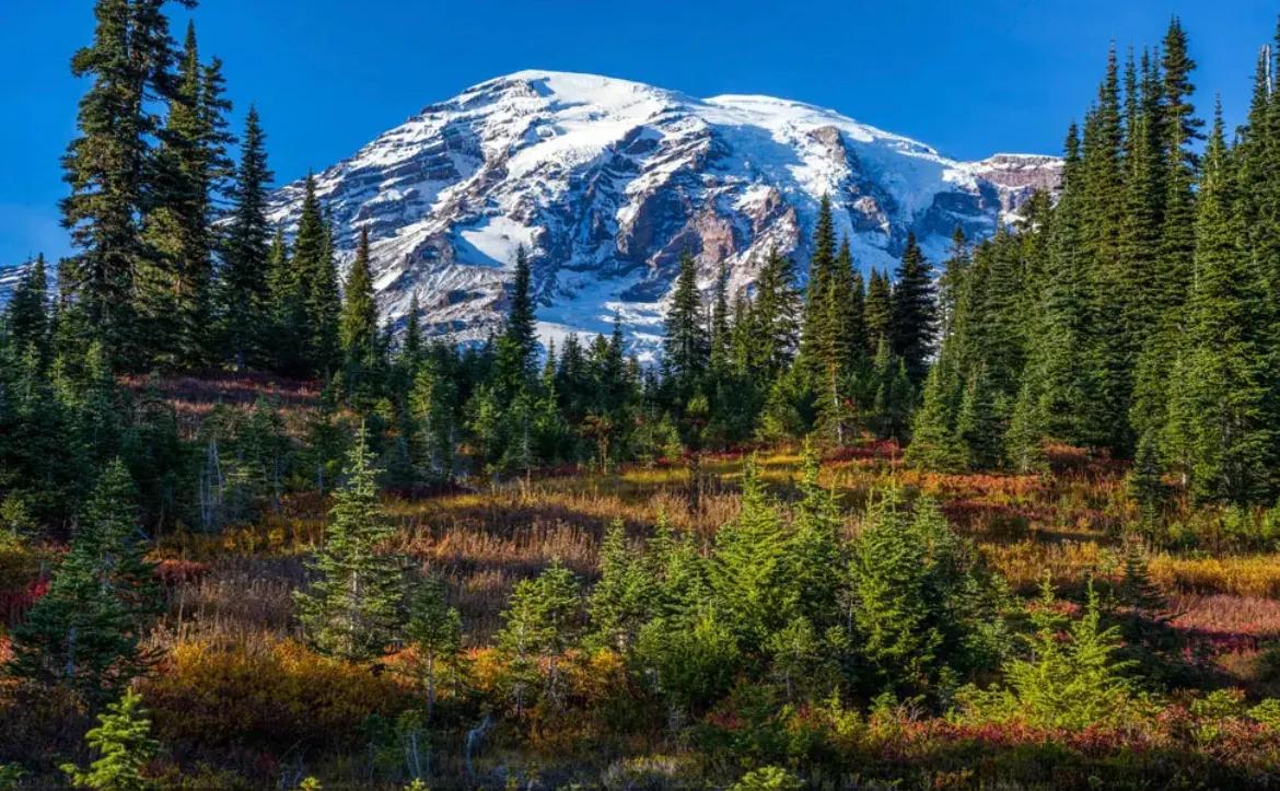 心理学物以类聚人以群分,心理学知识分享的图片