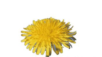 快速拉屎的小秘方,几个快速拉屎的小妙招