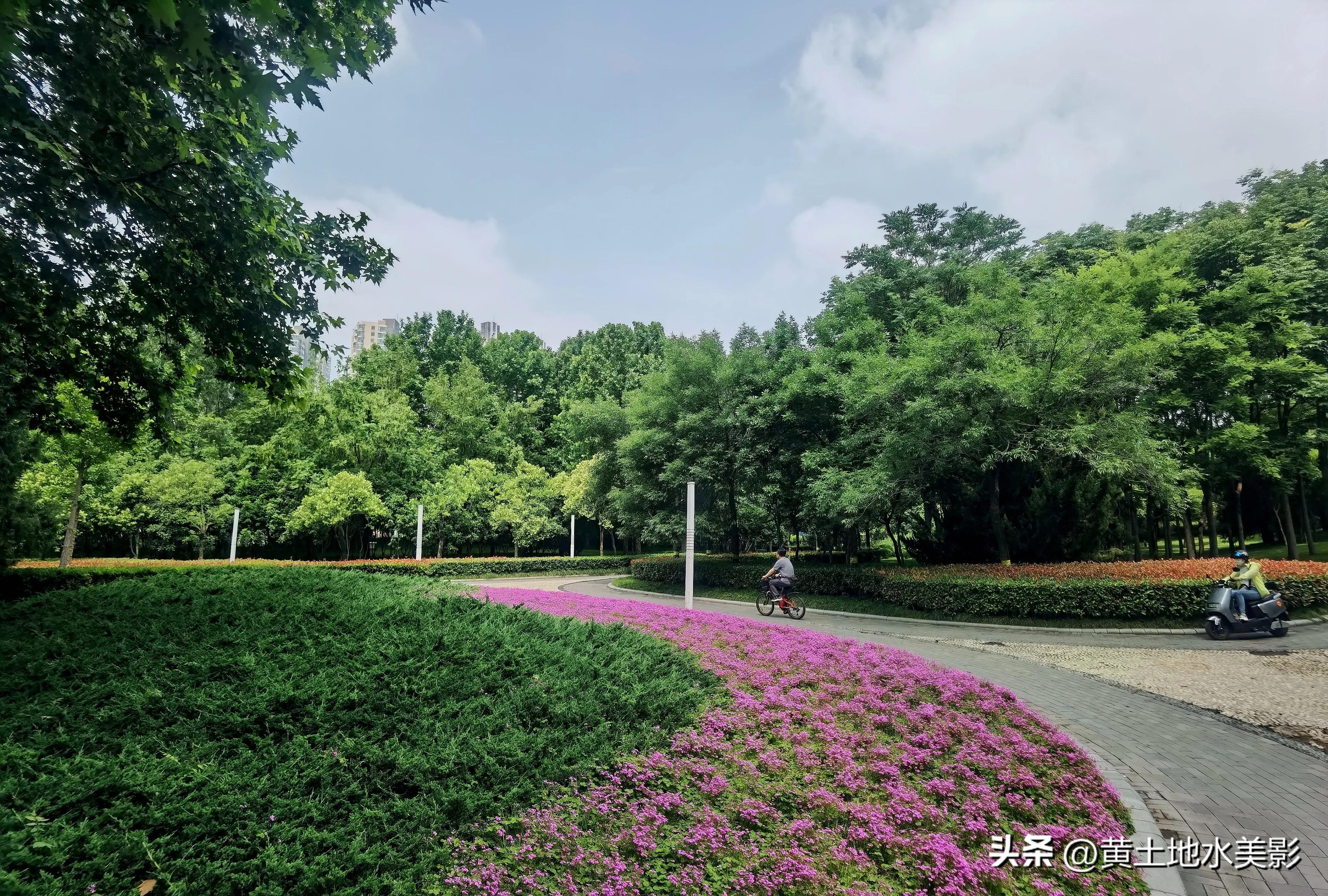 郑州儿童节周边游,郑州室外适宜小朋友游玩的景点