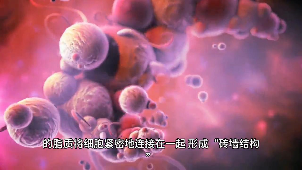 脸总是红红的热热的是什么原因,皮肤敏感脸总是红红的