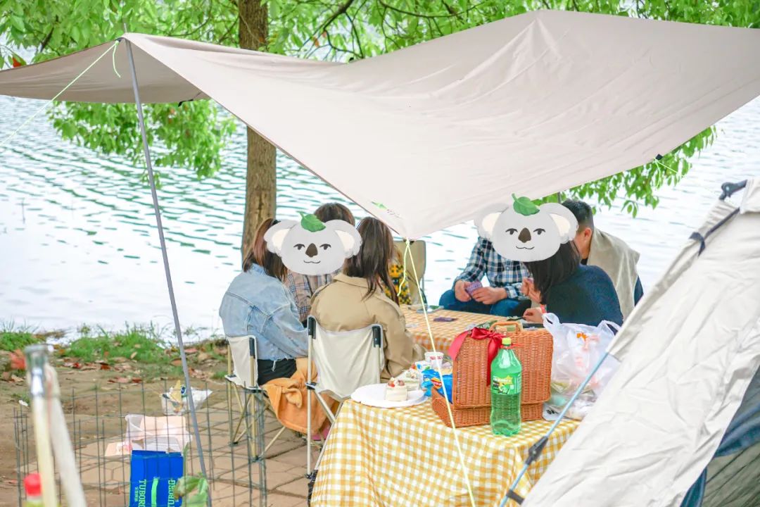 成都免费露营地推荐过夜,成都周边露营地推荐自驾