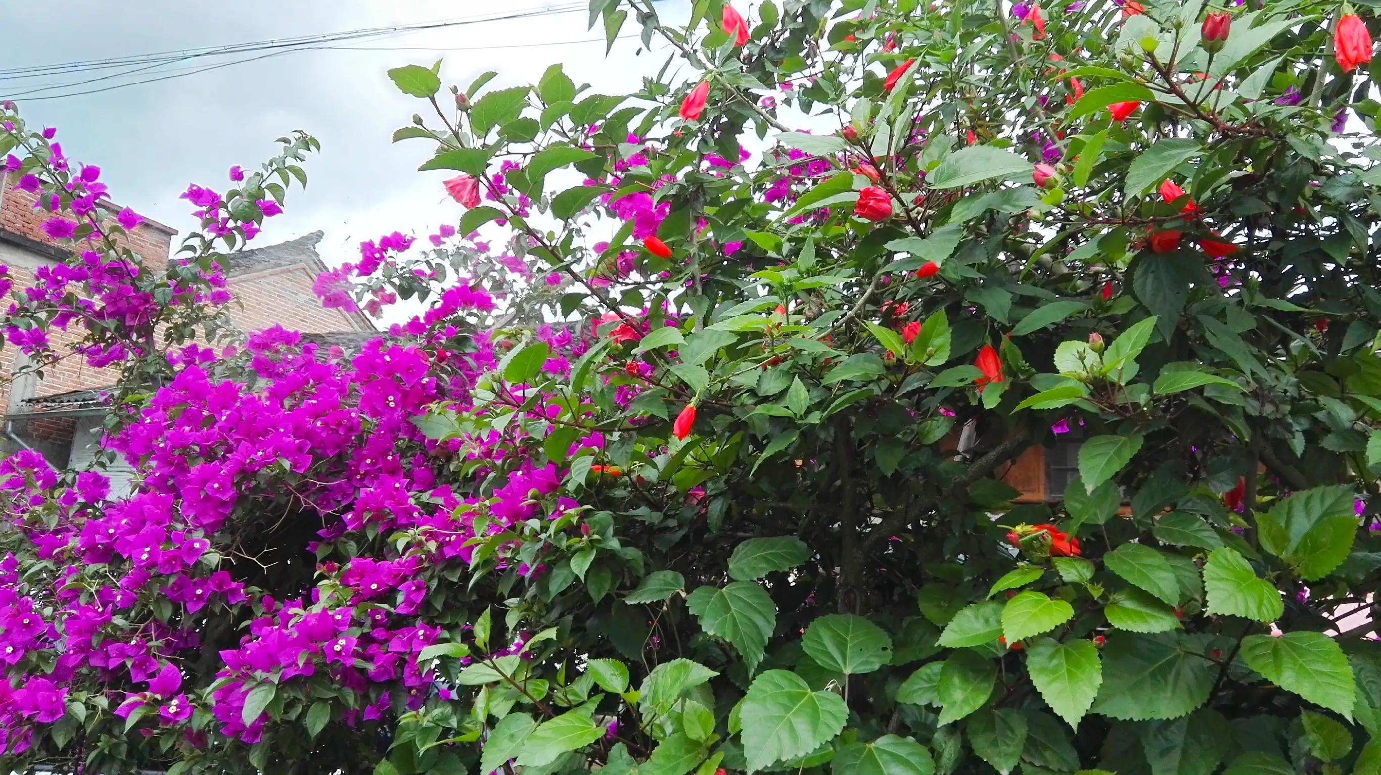 腾冲最好的田园风景,从昌宁到腾冲的旅游的旅游攻略