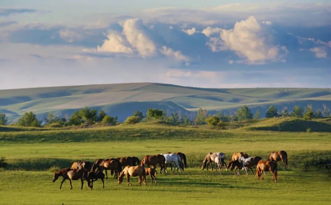 海拉尔四天三夜,海拉尔四季变化明显吗