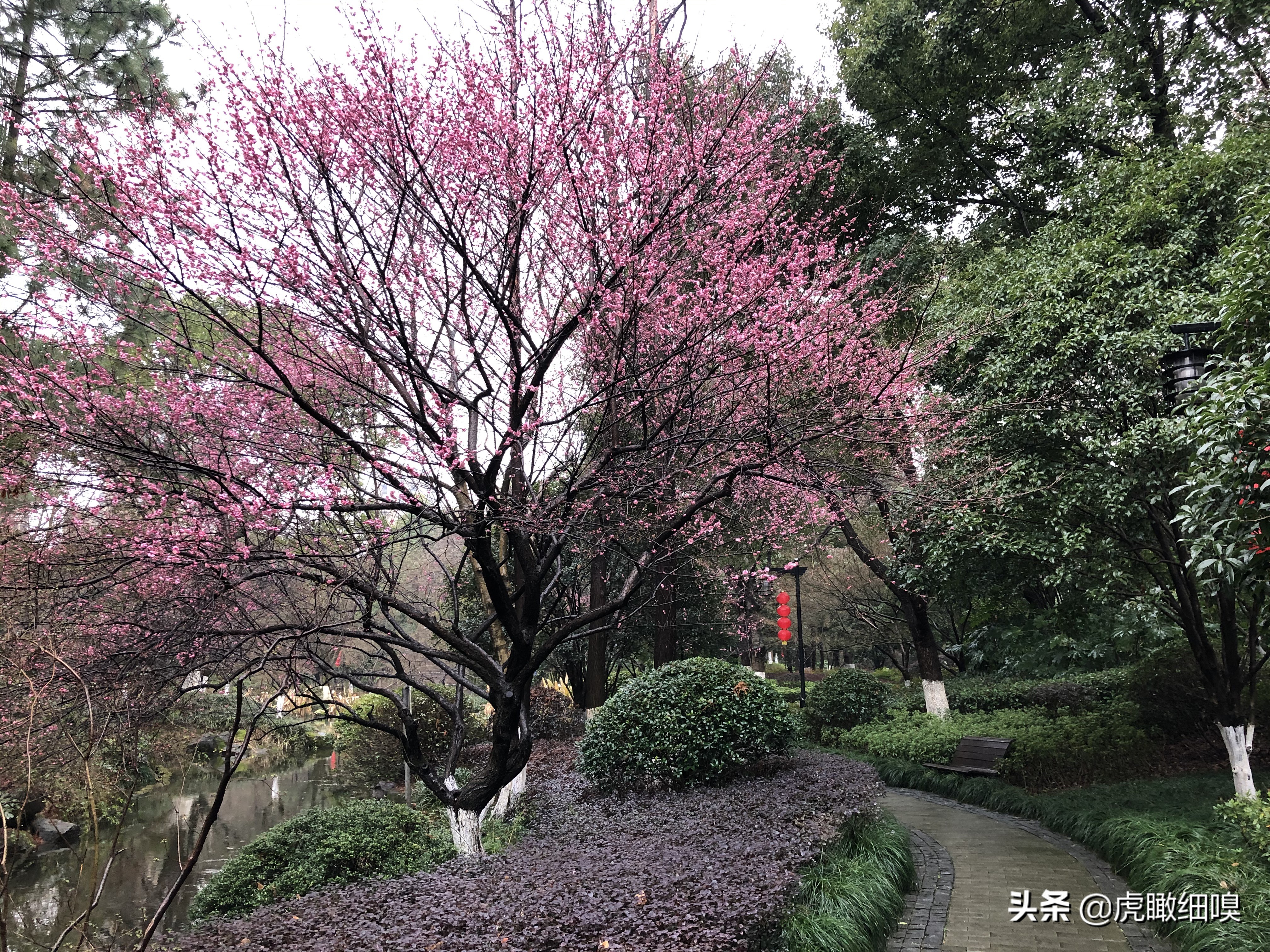 临平水景公园秋天,临平公园当地知名度最高的公园