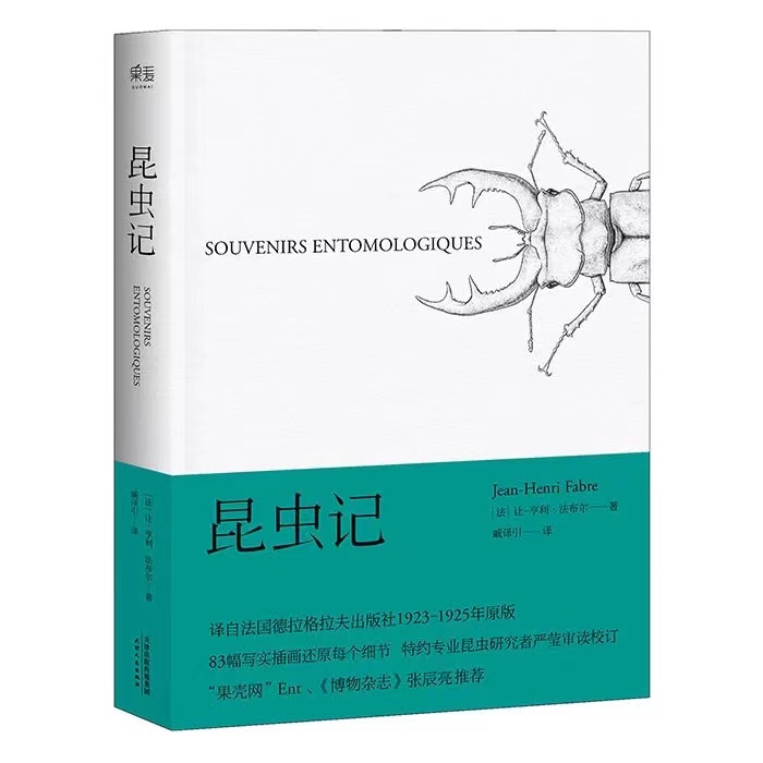 中考课外读物知识点归纳,中考用的课外知识点书推荐