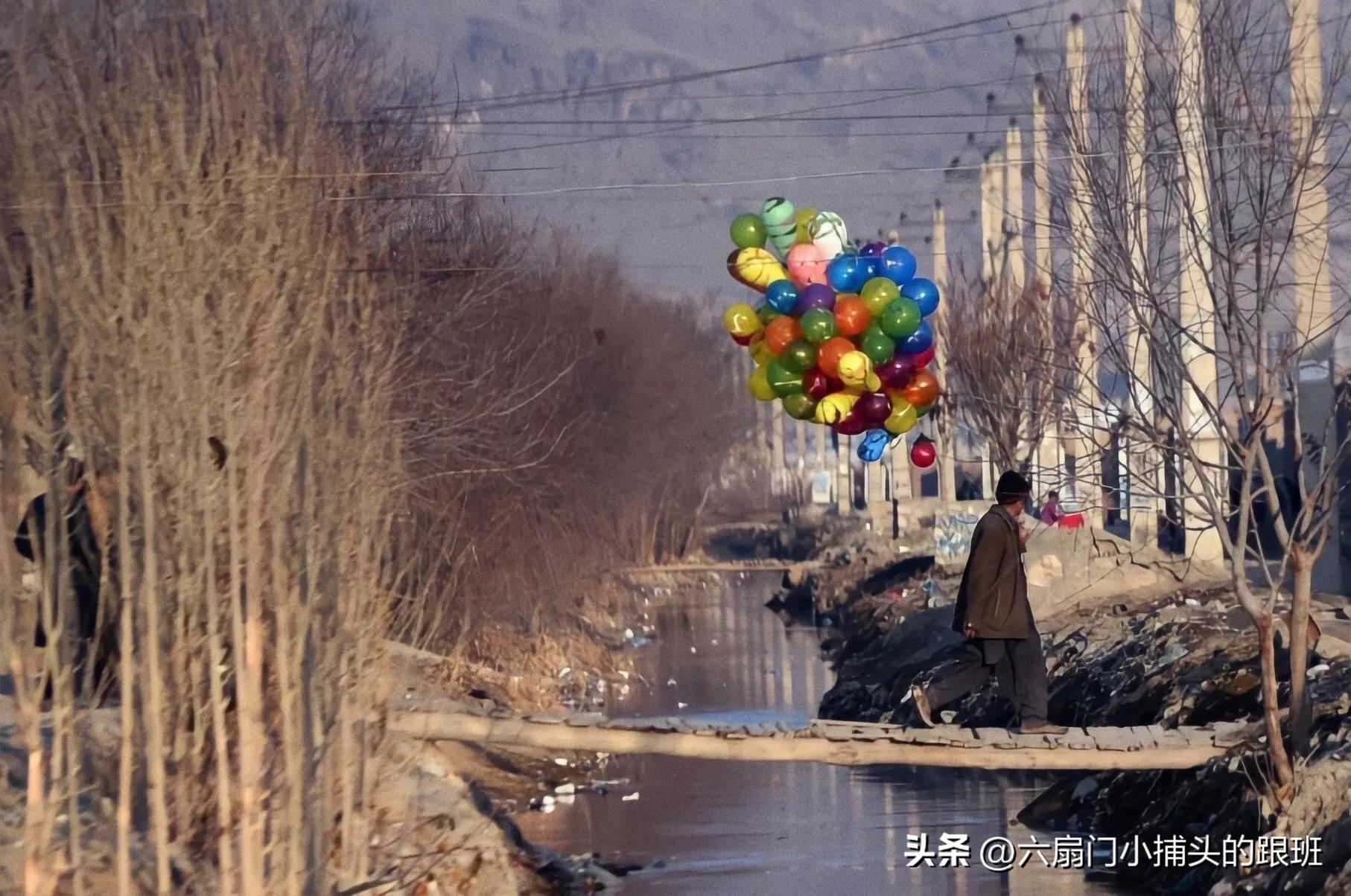 懂懂日记,懂懂日记全集完整版