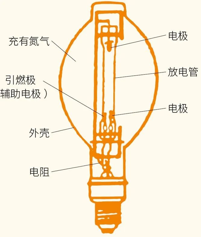 昆虫为什么喜欢紫光灯,夜晚用灯诱昆虫