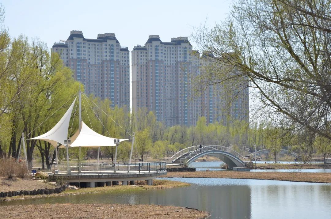 citywalk用脚步丈量城市,开启随性自由的citywalk