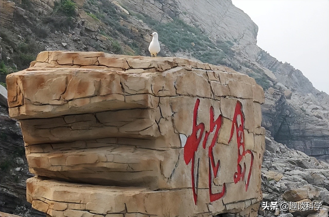 南宁40多斤巨蟒被困枯井数月，为何没饿死？无奈的村民道出缘由