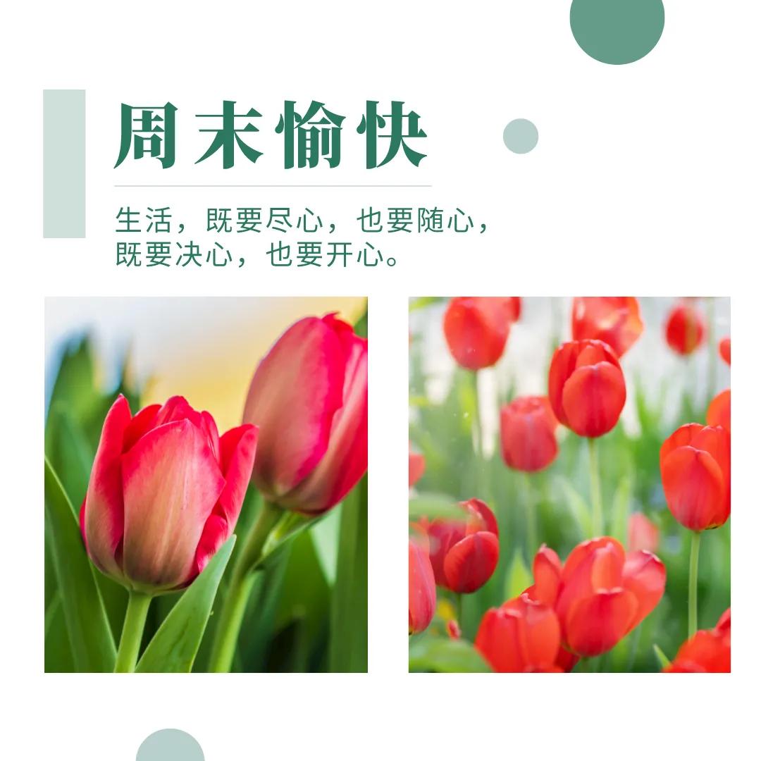 愉快的周末结束了最新的发圈文案,周末玩耍朋友圈文案短句干净治愈