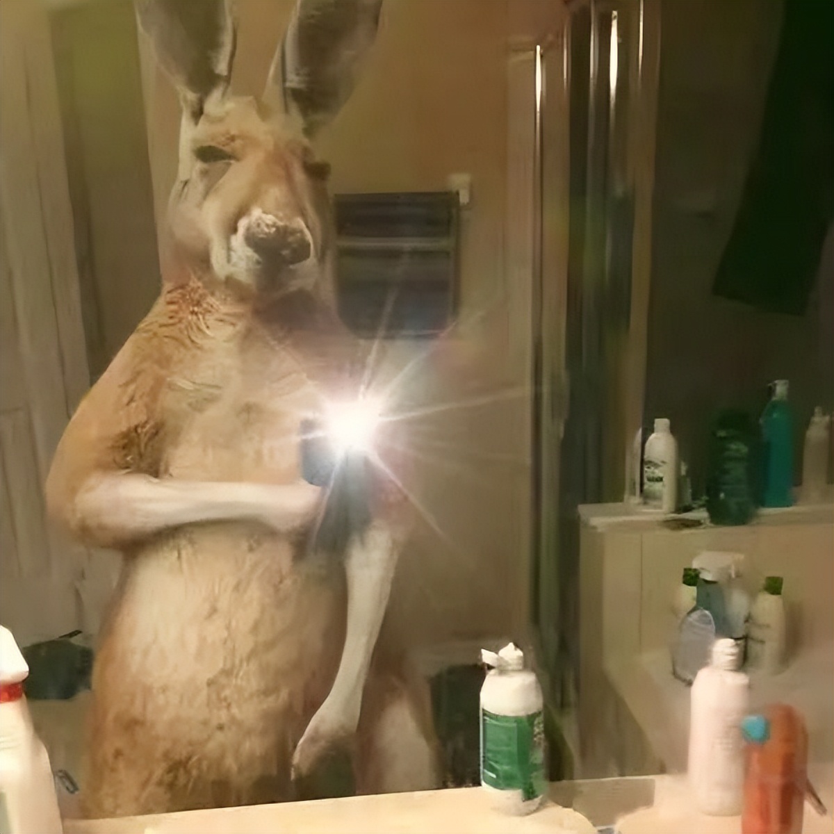 如何识别人群中的留学生,怎么一眼可以认出中国留学生