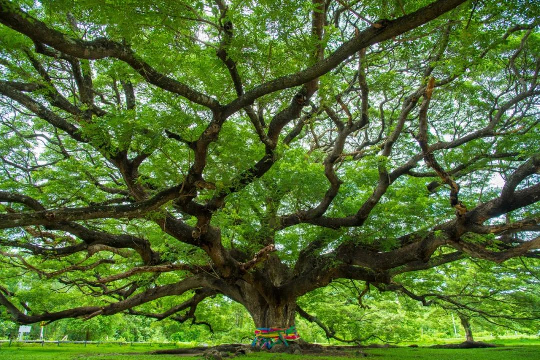祝福一年比一年好的诗词,适合生日写的经典诗词