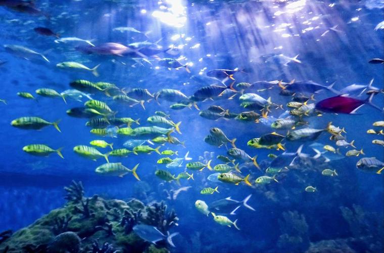 青岛旅游攻略自由行三天游,青岛旅游攻略自由行四天三晚