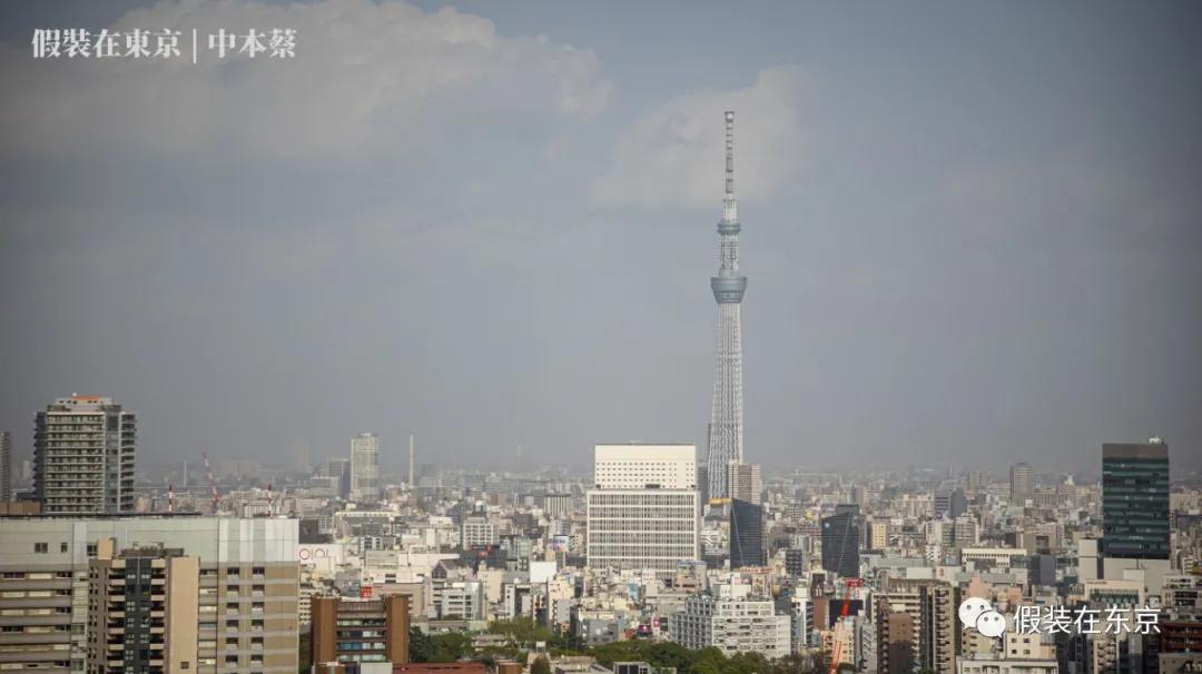 365张照片回顾,365张相片