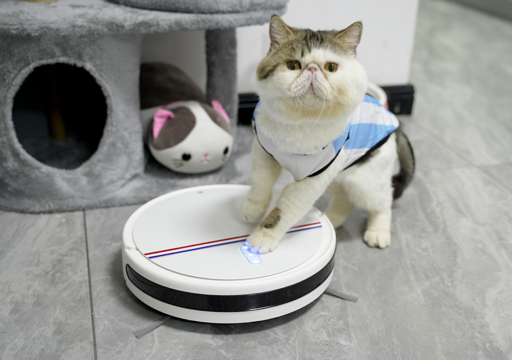 清毛发、除异味，宠物家庭清洁新选择！浦瑞克N8Plus扫地机体验