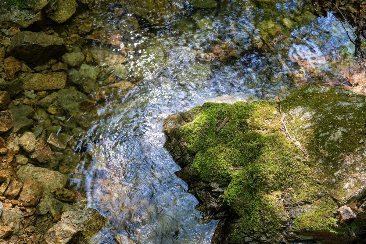 本溪熙康云舍酒店度假村,本溪熙康云舍健康度假酒店别墅