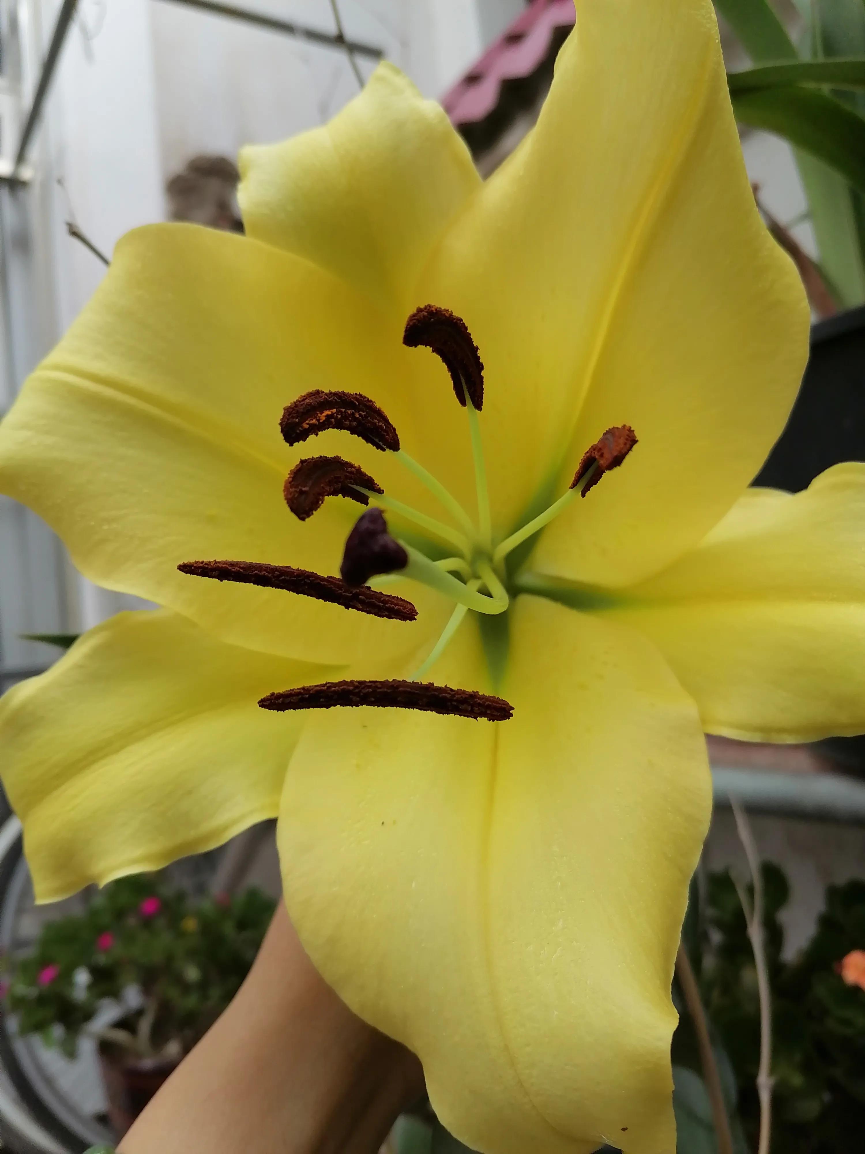 网购超过七天不给退货怎么办,拼多多的货超过七天还能退货吗