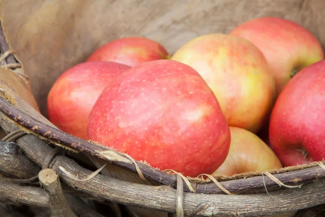 深圳最顶级的批发市场,深圳值得逛的批发市场
