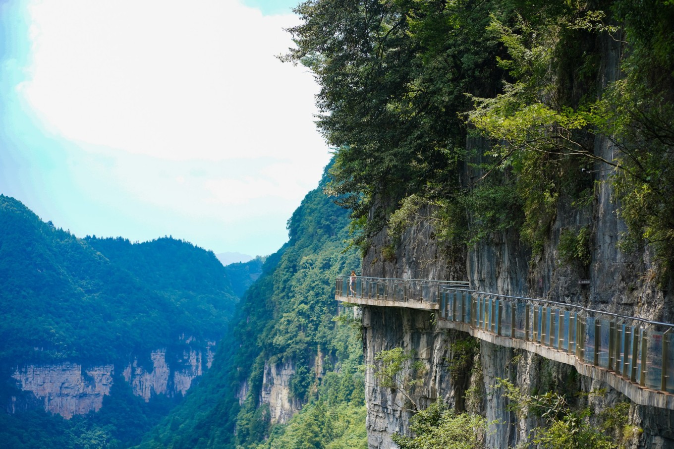 毕节油杉河景区,贵州夏季的避暑景点