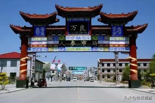 长白山万良镇人参市场黑参价格,抚松县万良镇人参批发多少钱一斤