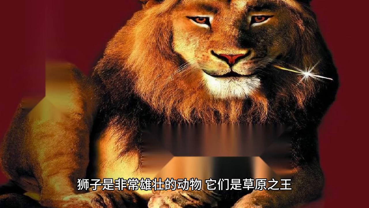 怎么跟狮子搏斗,狮子怎么对战