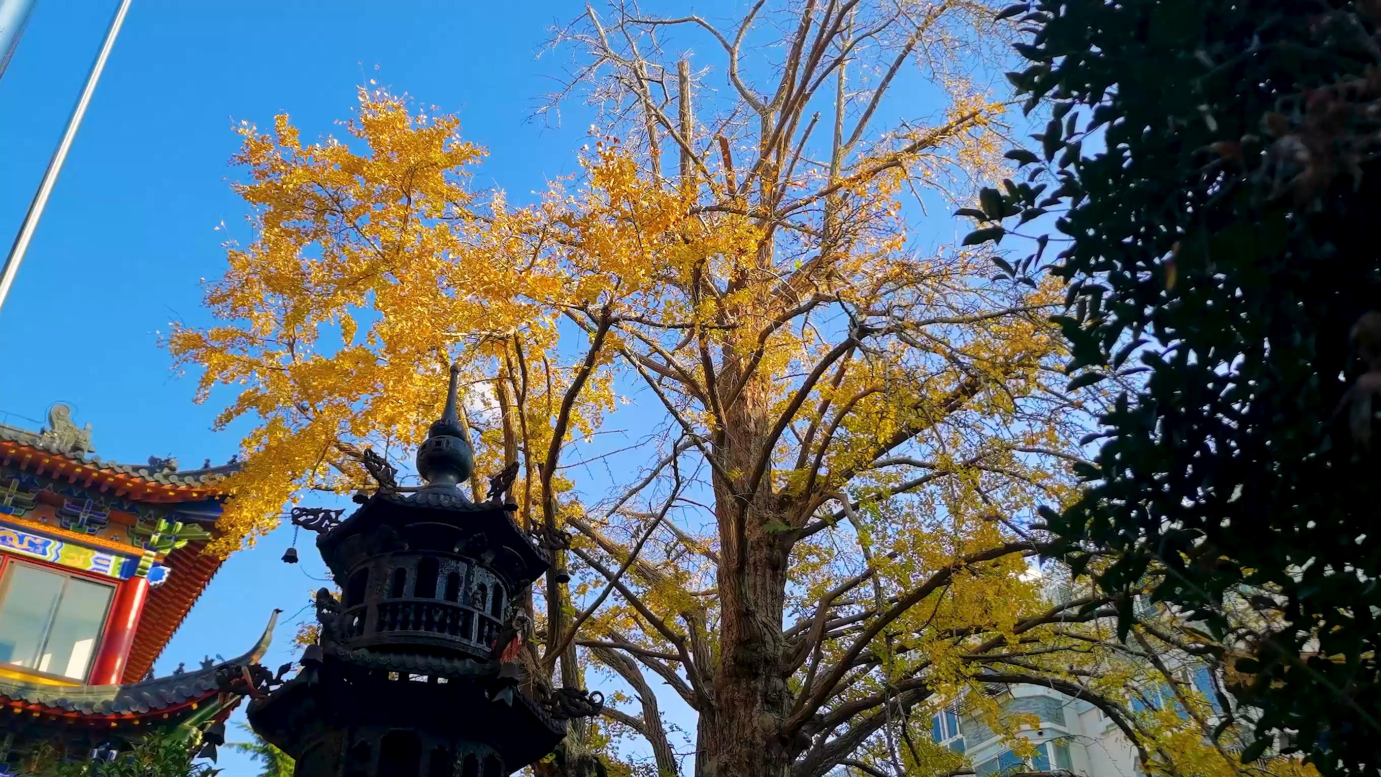 上海惠南镇五角大楼,南汇五角大楼现在怎么样了