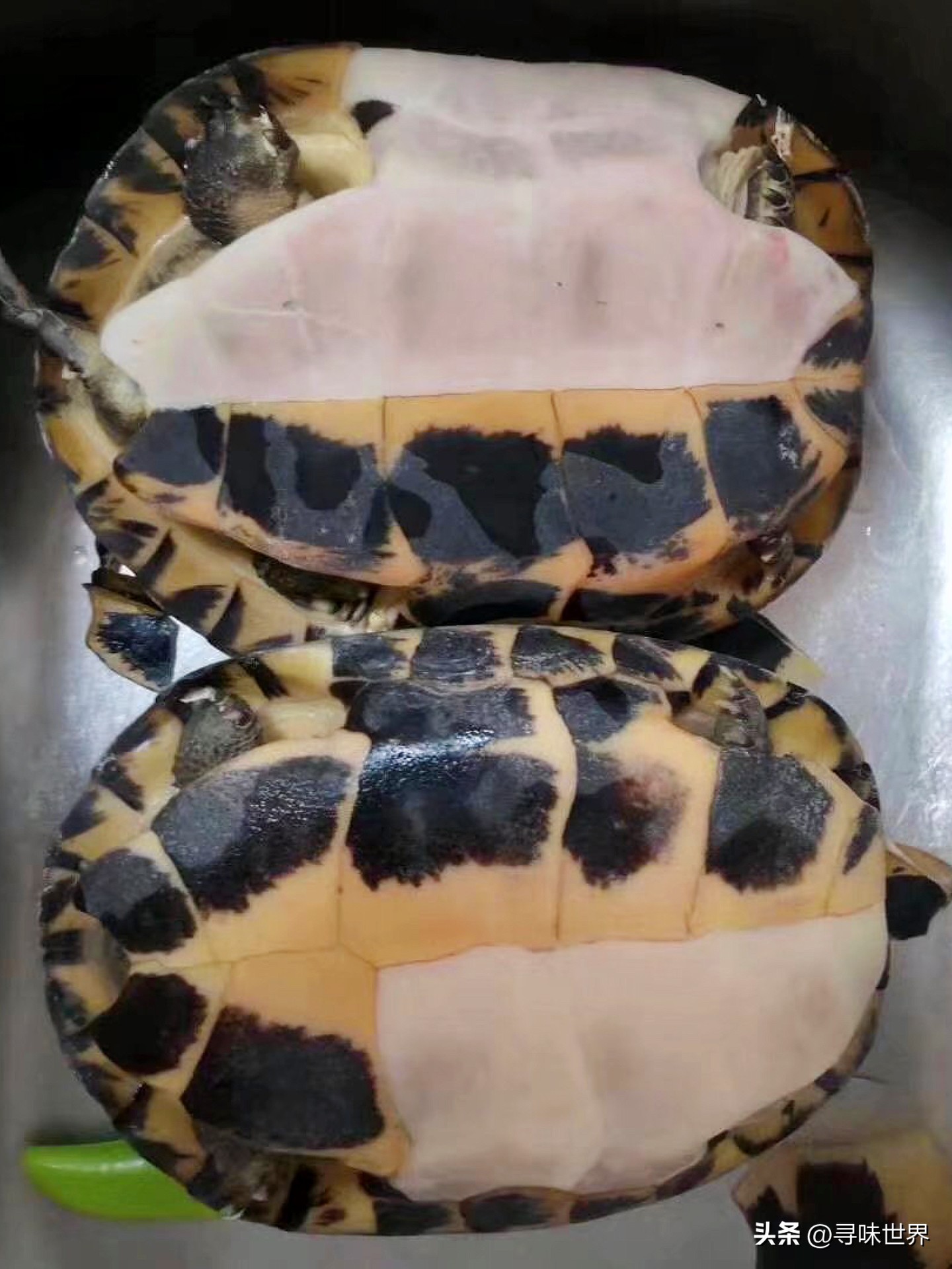 正宗龟苓膏的制作方法,正宗龟苓膏熬制配方