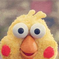 中超新赛季赛程公布：3月1日开幕,中超新季首阶段赛程公布