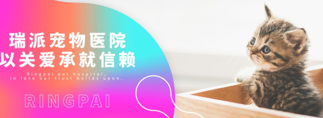 瑞普生物今日走势,瑞普生物前景分析