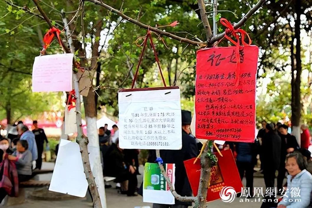 合肥杏花公园有什么,合肥杏花公园长廊