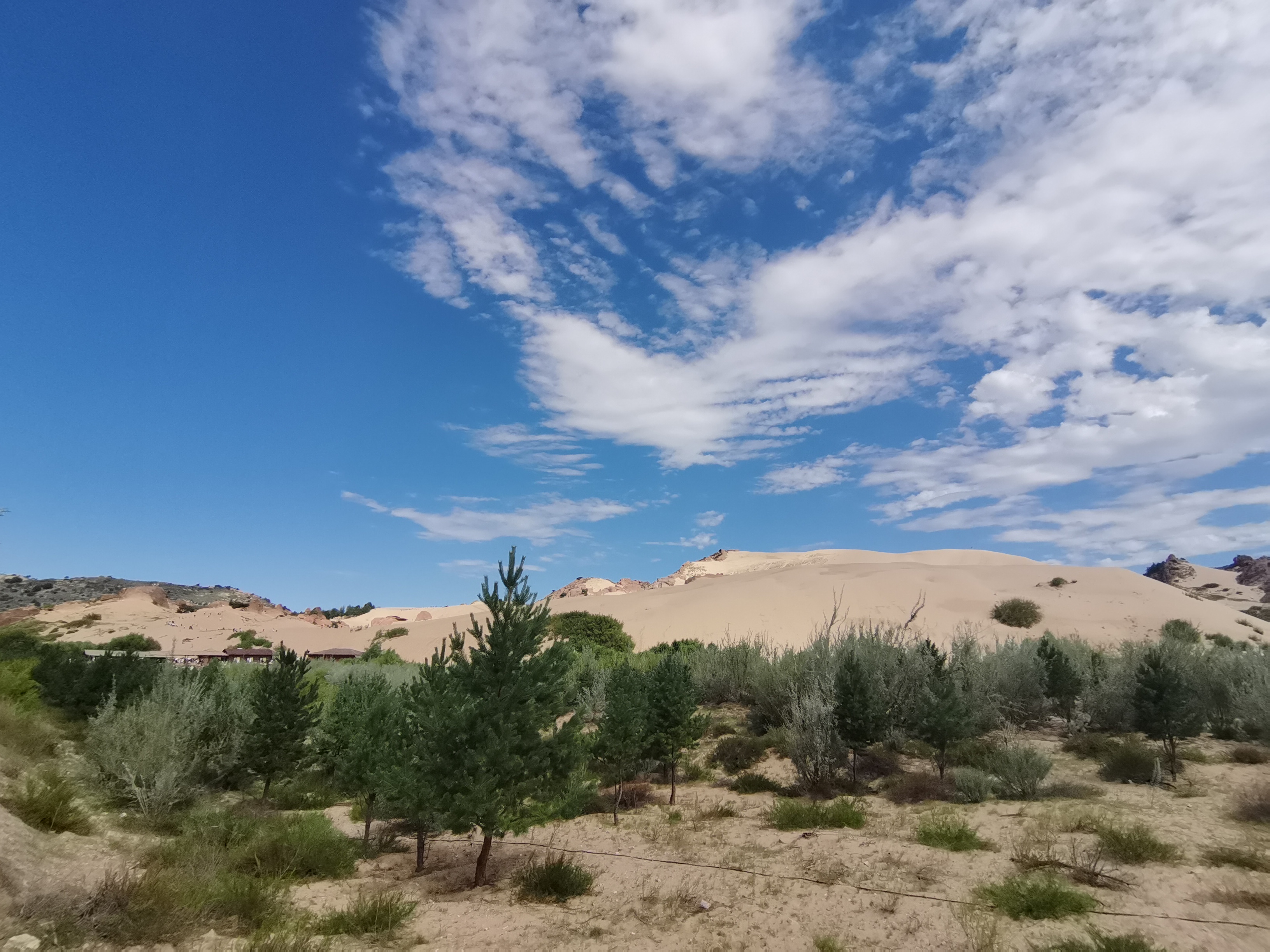 抓住暑假的尾巴去浪,抓住暑假的尾巴去兜风