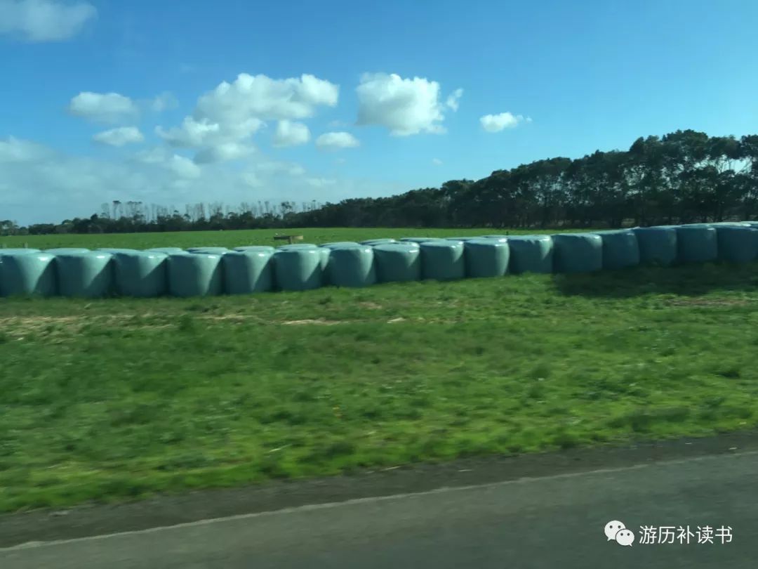 澳大利亚印象(代小结)——澳大利亚行记7