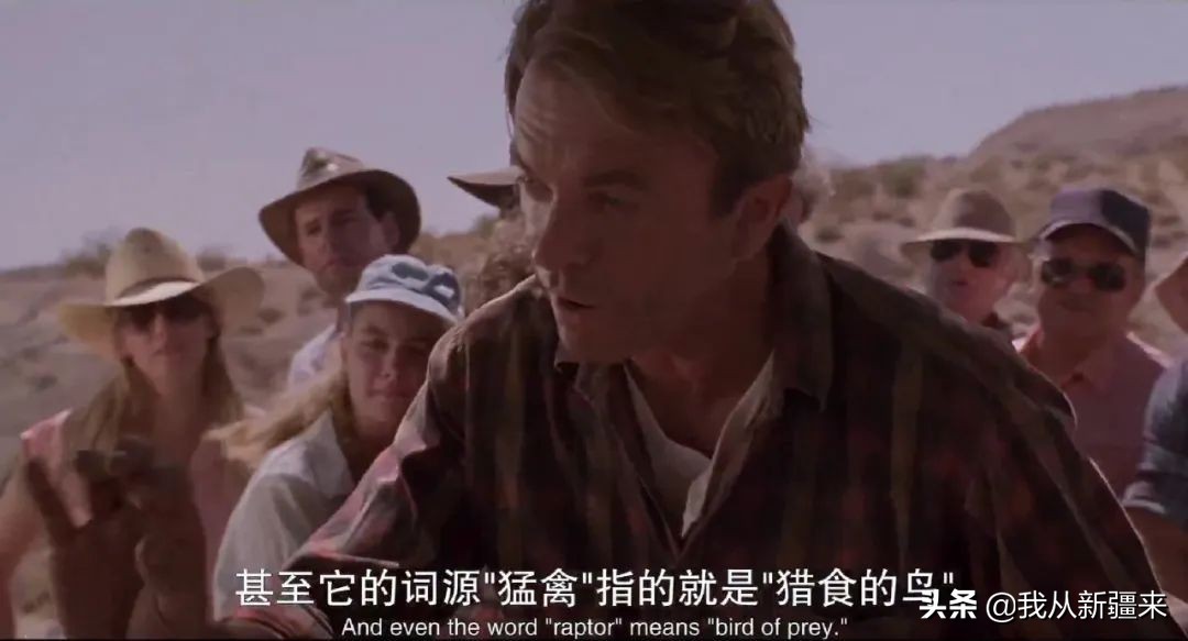 新疆哈密翼龙,天山哈密翼龙