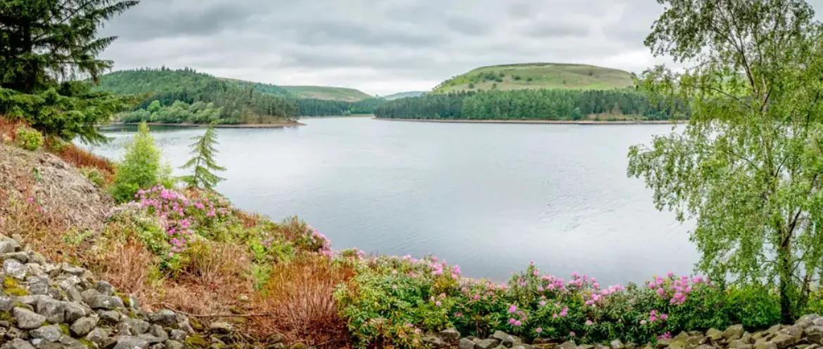 心理学物以类聚人以群分,心理学知识分享的图片