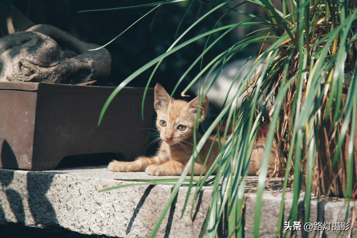 中国最好玩的海滨城市排名,中国沿海城市最美的海边