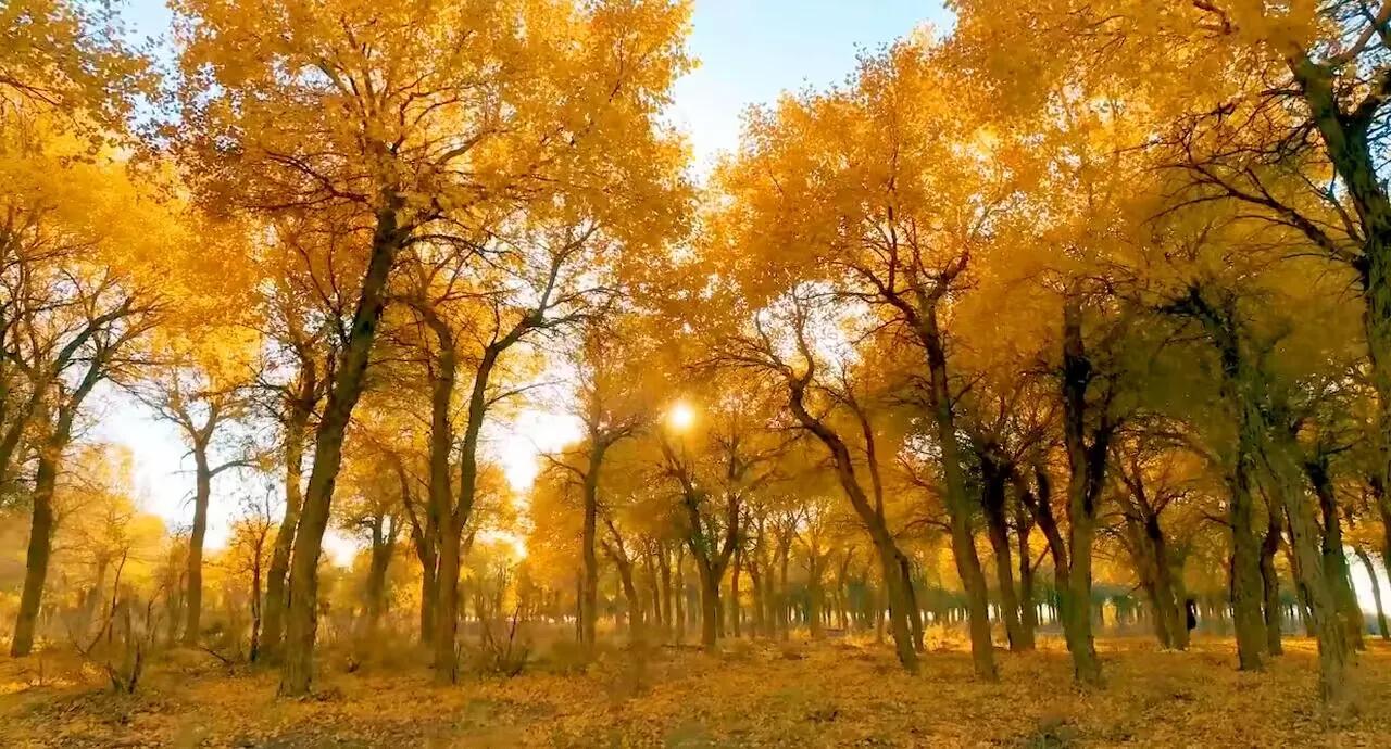 妇女合法权益受到侵害找哪个部门,劳动者合法权益受到侵害怎么办