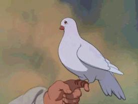 关于剑桥英语ketpet,剑桥ket核心词汇